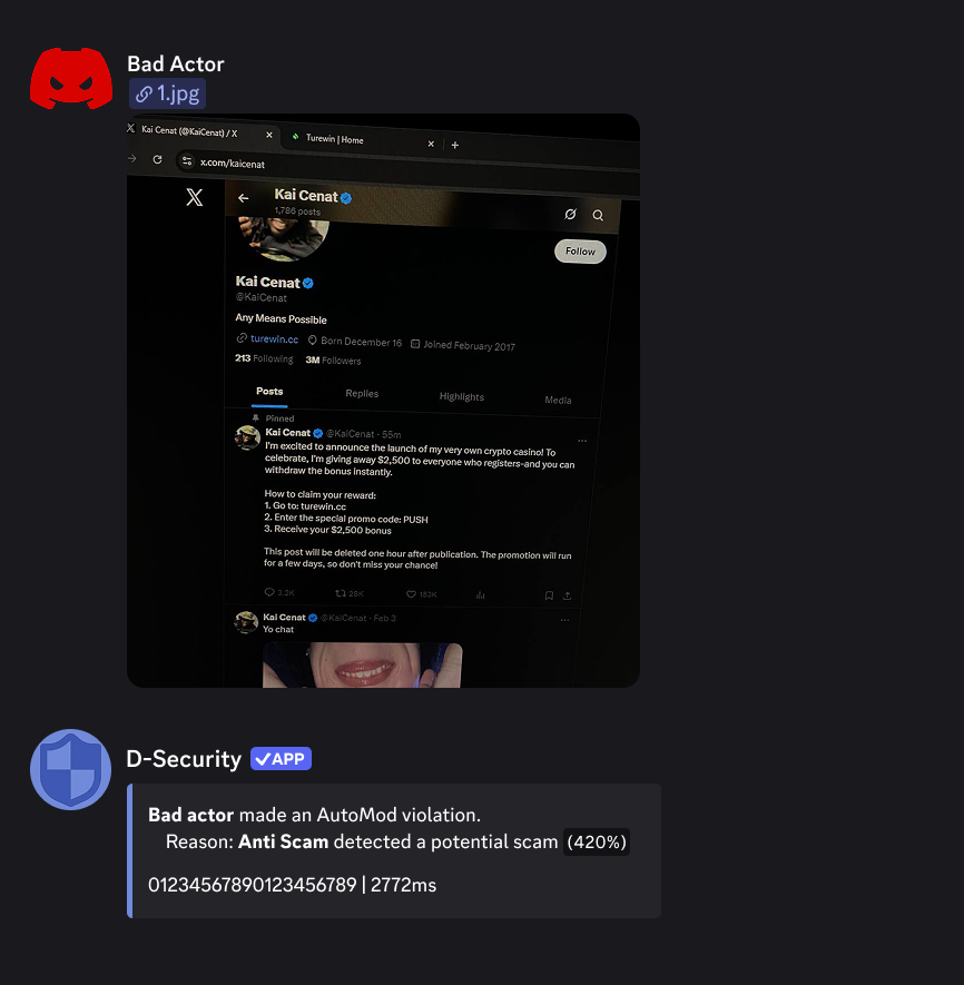 Representation of a Anti-Scam in action